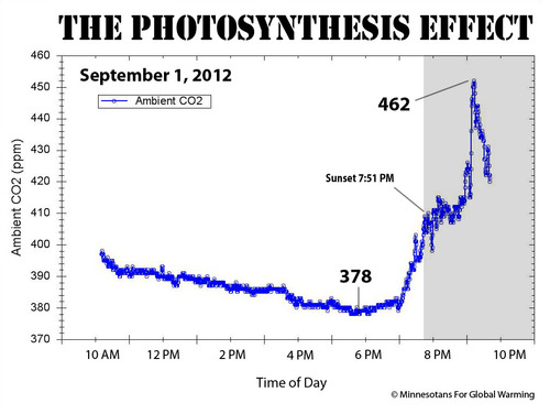 The-Photosynthesis-Effect.jpg